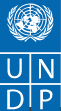 UNITED NATIONS DEVELOPMENT PROGRAMME (UNDP)